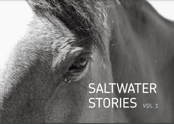 Saltwater Stories vol 1.